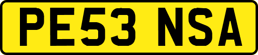 PE53NSA