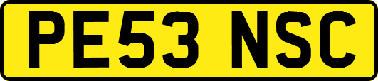 PE53NSC