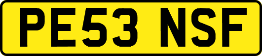 PE53NSF
