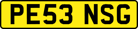 PE53NSG