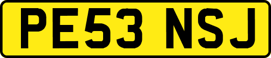 PE53NSJ