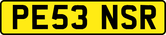 PE53NSR