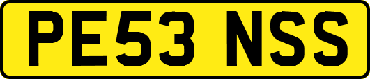 PE53NSS