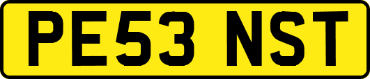 PE53NST