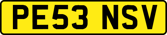 PE53NSV