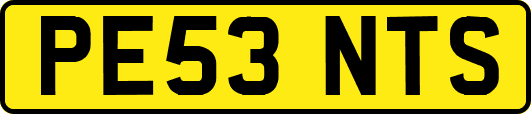 PE53NTS