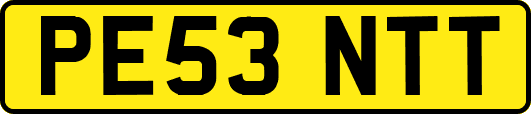 PE53NTT
