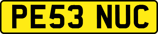 PE53NUC