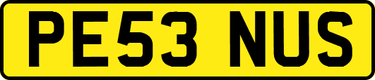 PE53NUS