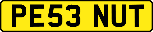 PE53NUT
