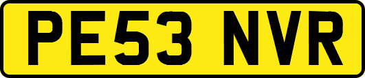 PE53NVR
