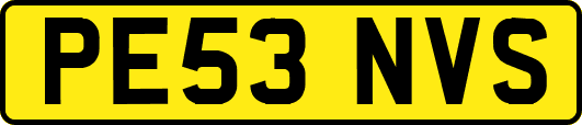 PE53NVS