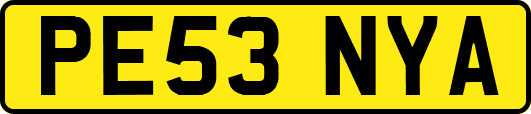 PE53NYA