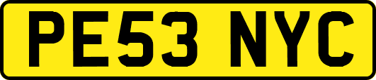 PE53NYC
