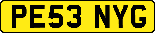PE53NYG