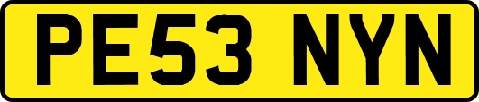 PE53NYN