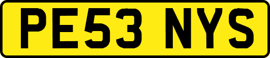PE53NYS