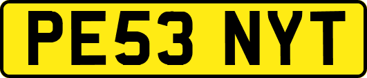 PE53NYT
