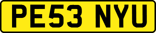 PE53NYU
