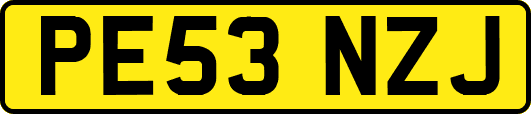 PE53NZJ