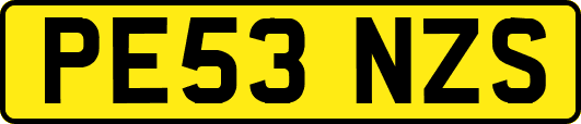 PE53NZS