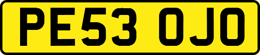 PE53OJO