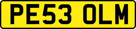 PE53OLM