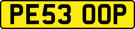 PE53OOP