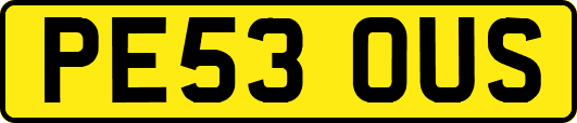 PE53OUS