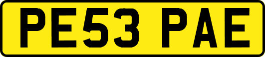 PE53PAE