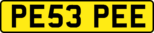 PE53PEE