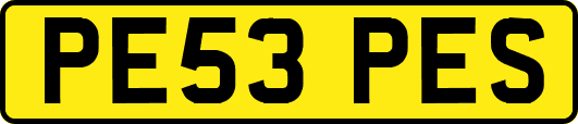 PE53PES
