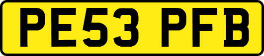 PE53PFB