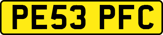 PE53PFC