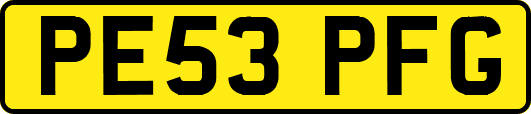 PE53PFG