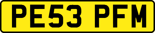 PE53PFM