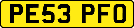 PE53PFO