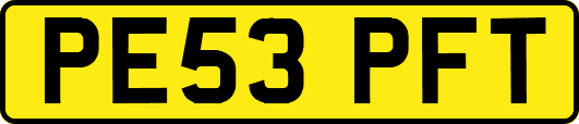 PE53PFT