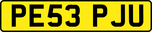 PE53PJU