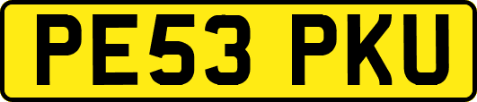 PE53PKU