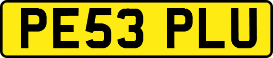PE53PLU
