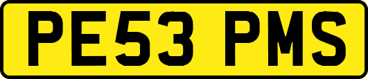 PE53PMS