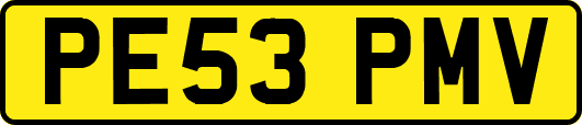 PE53PMV