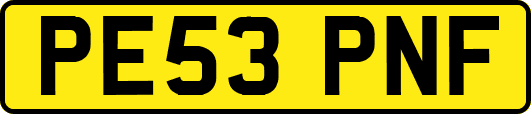 PE53PNF