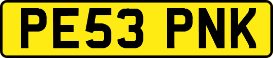 PE53PNK