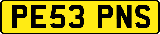 PE53PNS