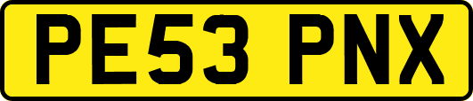 PE53PNX