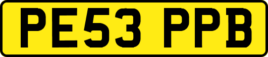 PE53PPB