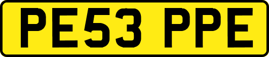 PE53PPE