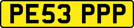 PE53PPP